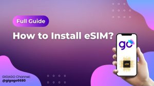 How to install Brunei eSIM