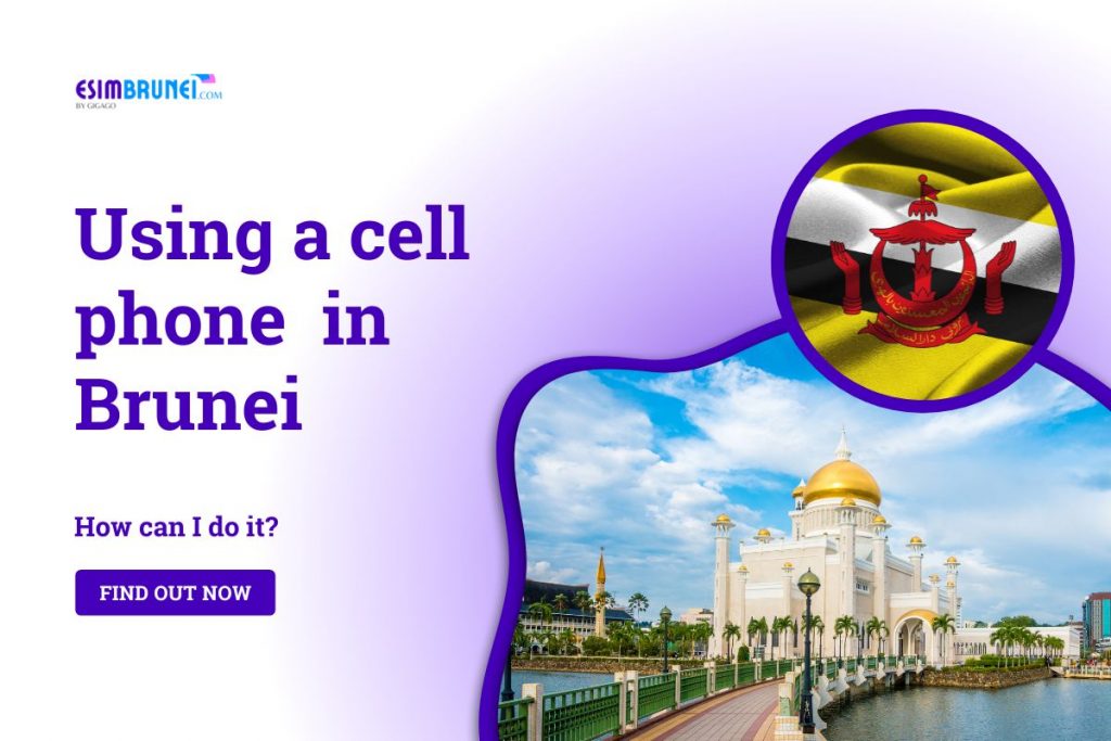 Using A Cell Phone in Brunei